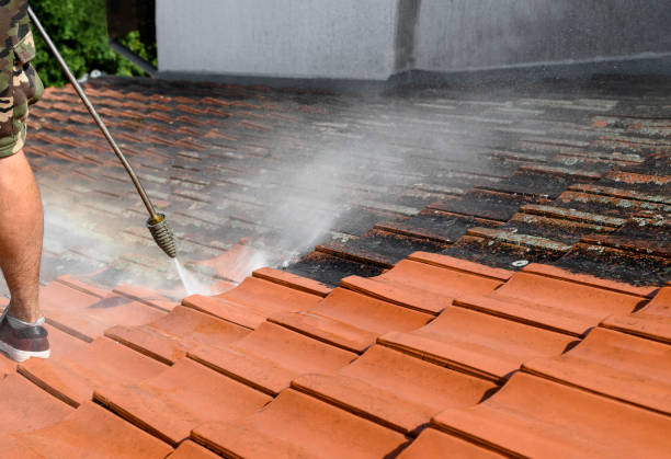 Best House Pressure Washing  in Stafford Springs, CT